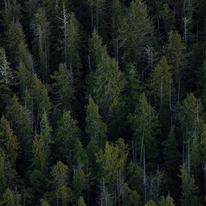 Meet your Posher, Sean